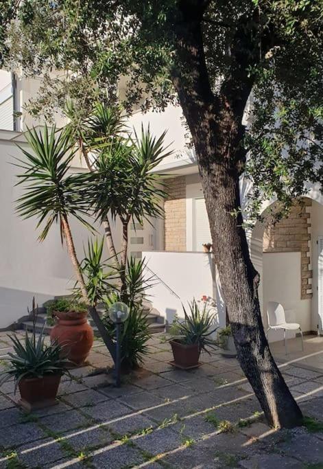 Lecci Al Mare Apartment San Vincenzo Exterior photo