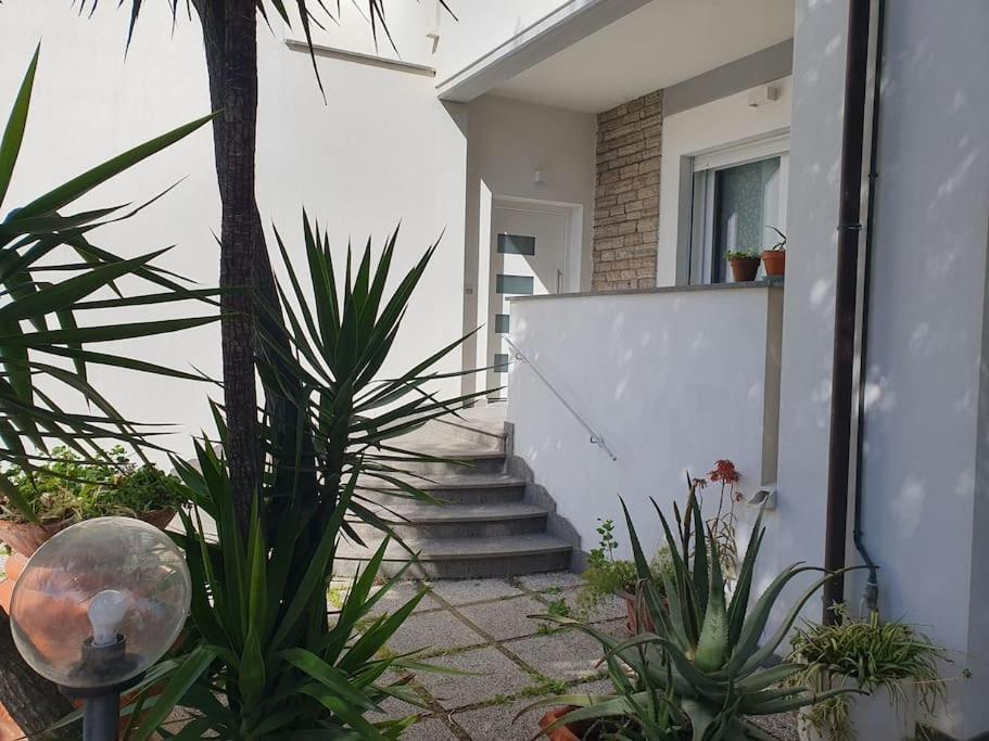 Lecci Al Mare Apartment San Vincenzo Exterior photo